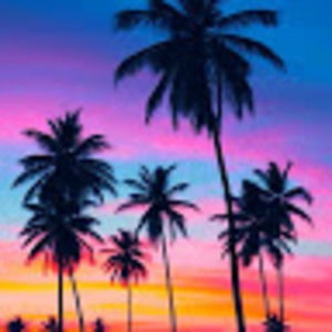 Meet your Posher, Zoey